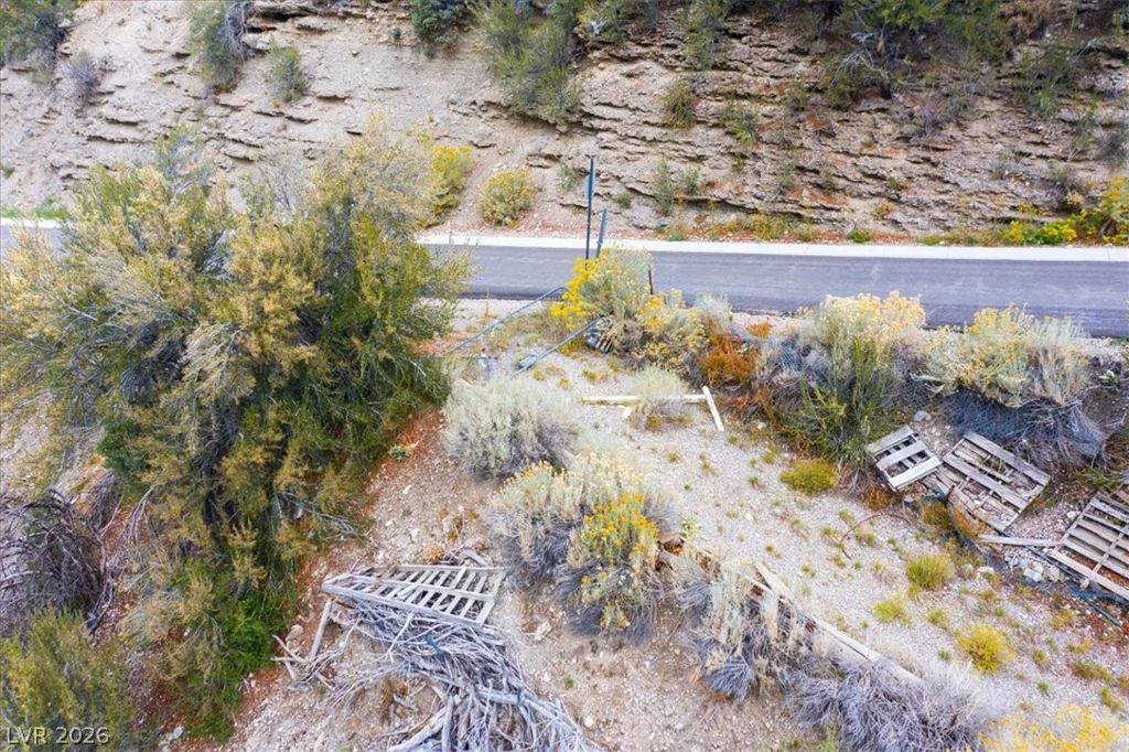 4925 Spruce, Mount Charleston, NV 89124