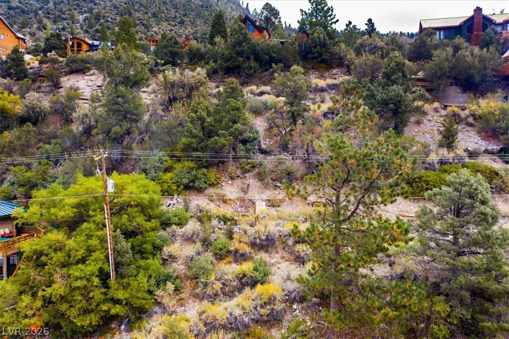 4925 Spruce, Mount Charleston, NV 89124