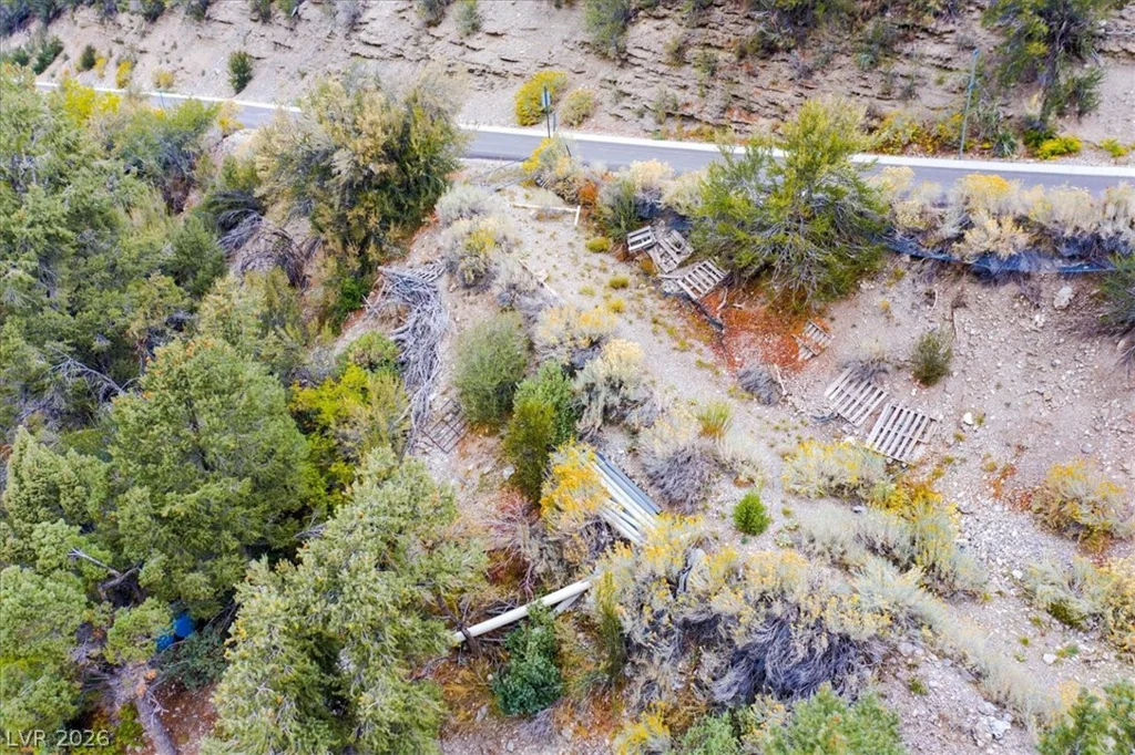 4925 Spruce, Mount Charleston, NV 89124