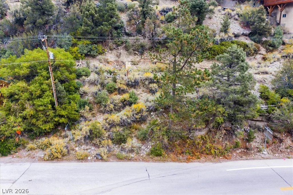 4925 Spruce, Mount Charleston, NV 89124