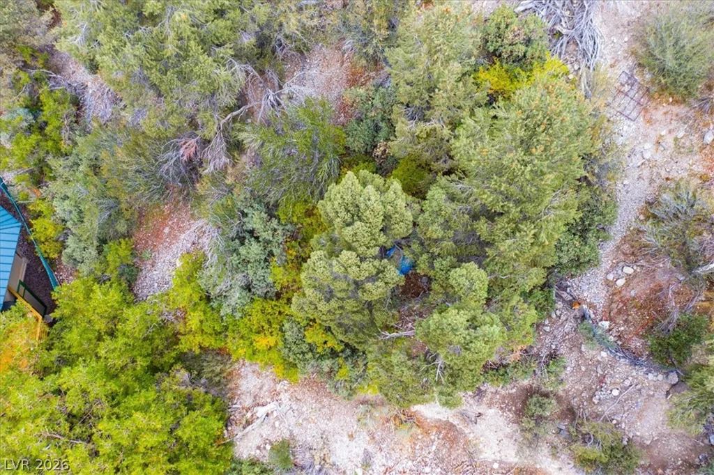 4925 Spruce, Mount Charleston, NV 89124