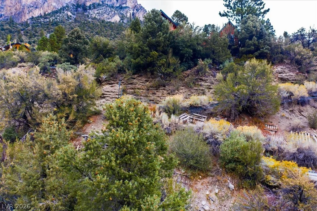 4925 Spruce, Mount Charleston, NV 89124
