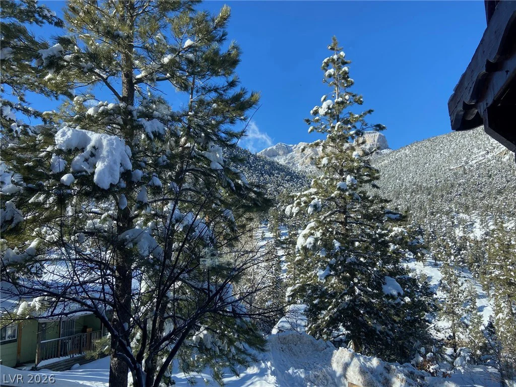 4028 Mont Blanc, Mount Charleston, NV 89124