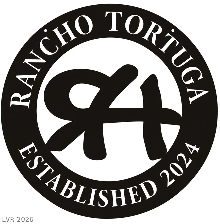 13490 Racel, Las Vegas, NV 89166