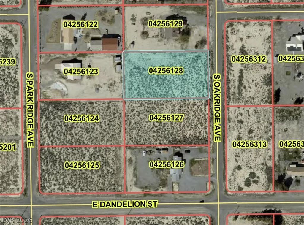 2910 Oakridge, Pahrump, NV 89048