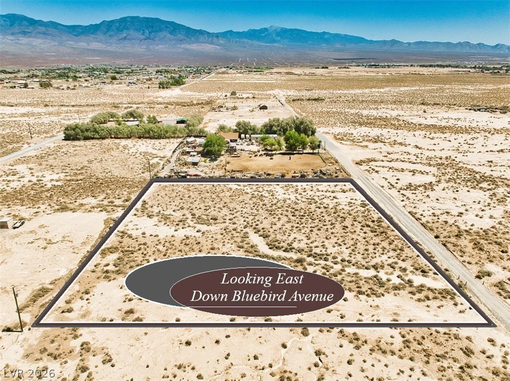 1650 Bluebird, Pahrump, NV 89060