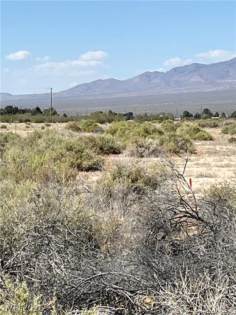 40 Bonita, Pahrump, NV 89060