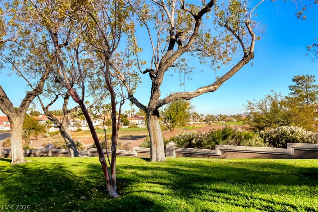 2438 Tour Edition, Henderson, NV 89074