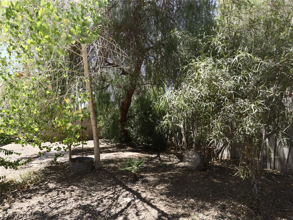 7736 White Grass, Las Vegas, NV 89131