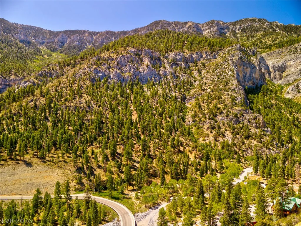 264 Crestview, Mount Charleston, NV 89124