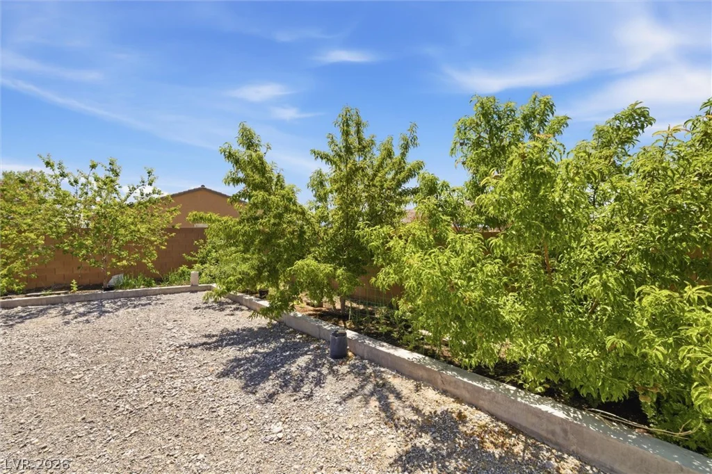 3813 Gunnison, Pahrump, NV 89061