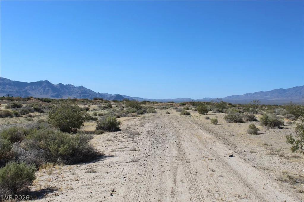 921 Delta, Pahrump, NV 89060