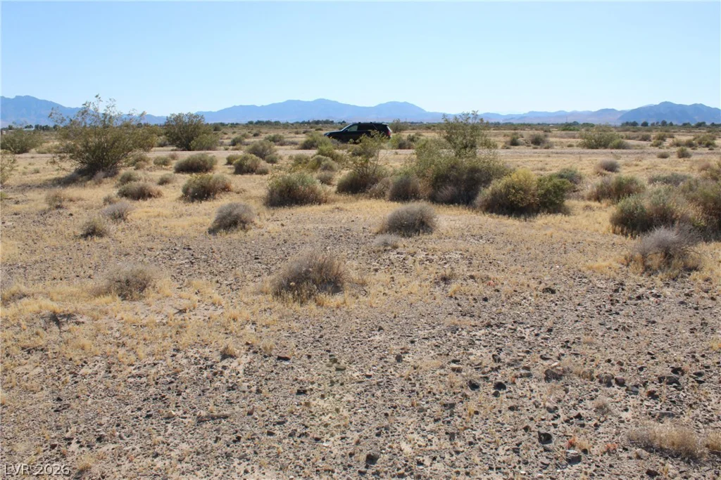 921 Delta, Pahrump, NV 89060