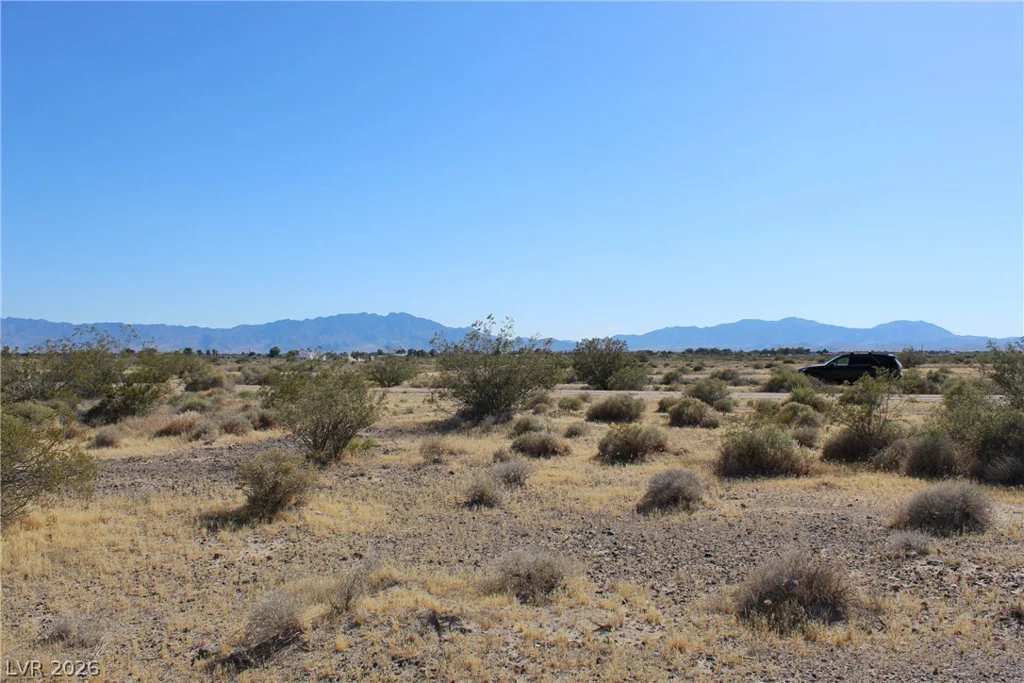 921 Delta, Pahrump, NV 89060