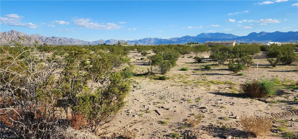 Quartz, Sandy Valley, NV 89019