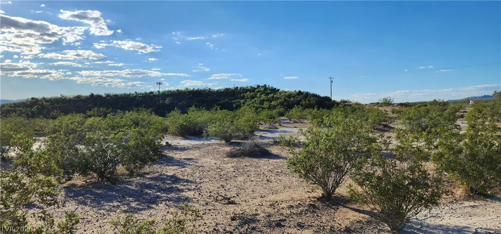 Quartz, Sandy Valley, NV 89019