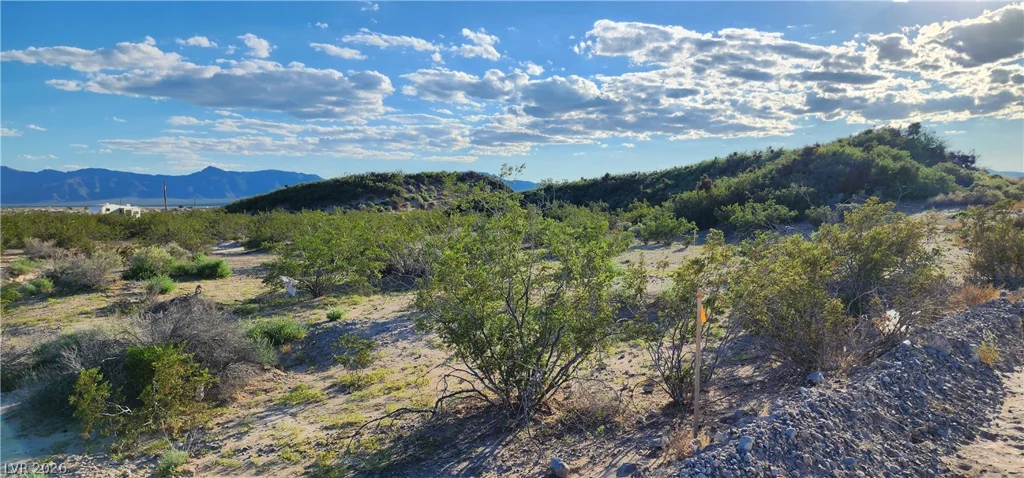 Quartz, Sandy Valley, NV 89019