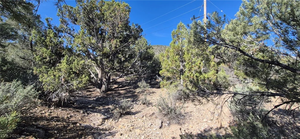 Paul Warner Way, Las Vegas, NV 89161