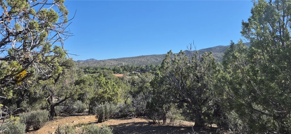 Paul Warner Way, Las Vegas, NV 89161