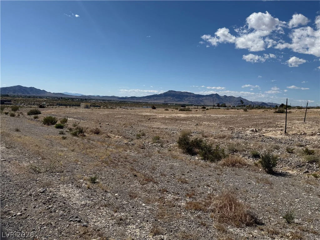 1230 Irene, Pahrump, NV 89060