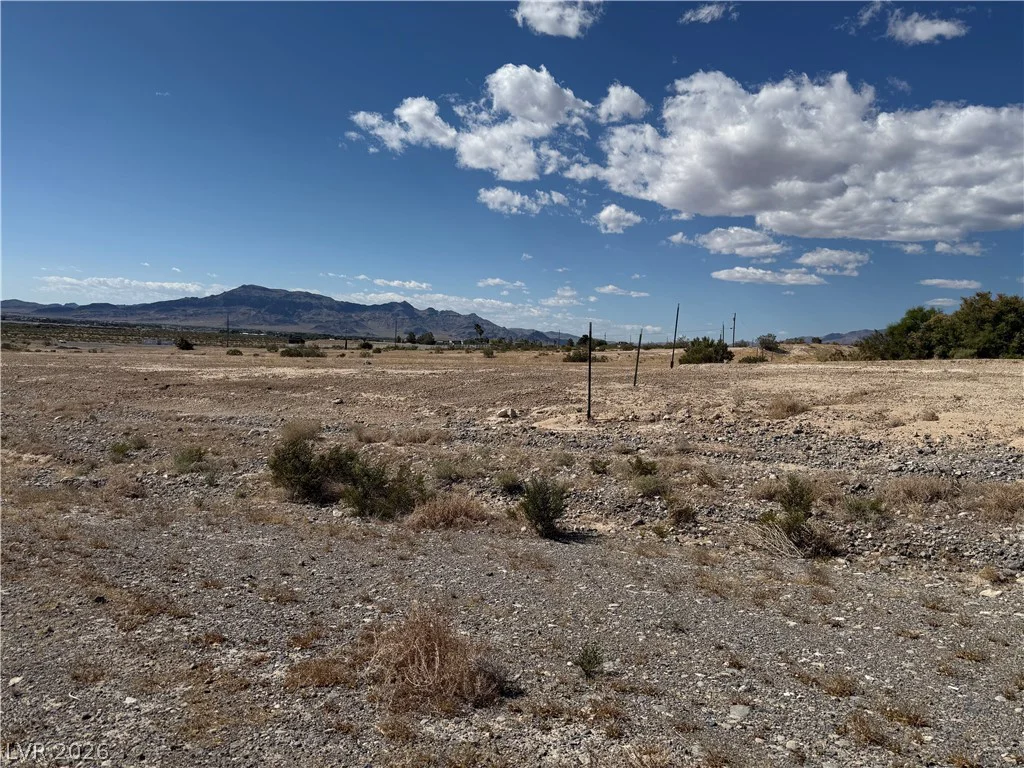 1230 Irene, Pahrump, NV 89060