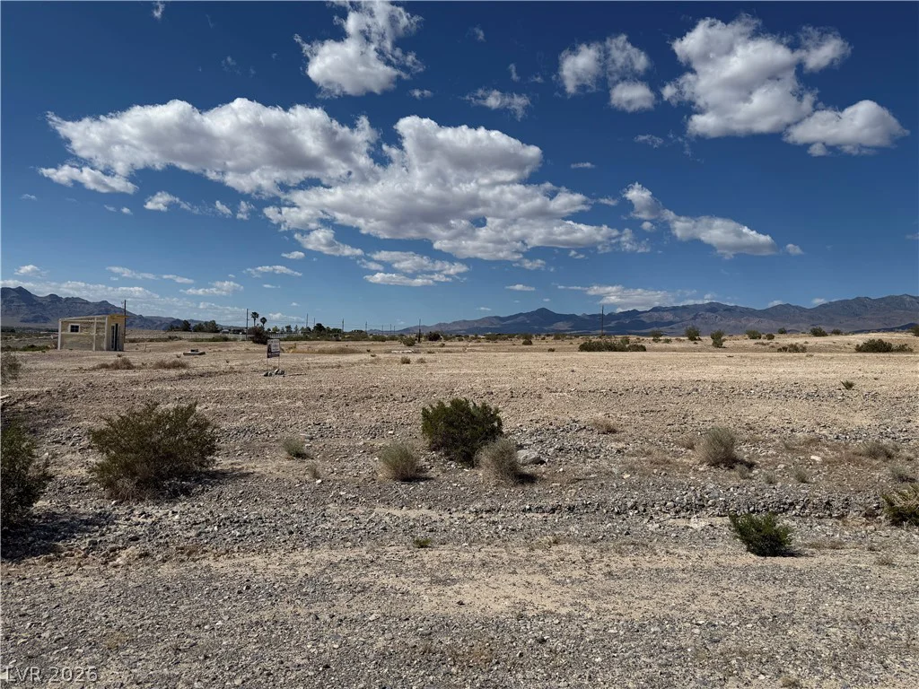 1230 Irene, Pahrump, NV 89060