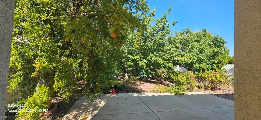 3320 Michelangelo, Las Vegas, NV 89129