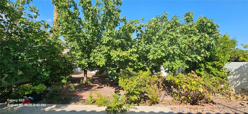 3320 Michelangelo, Las Vegas, NV 89129
