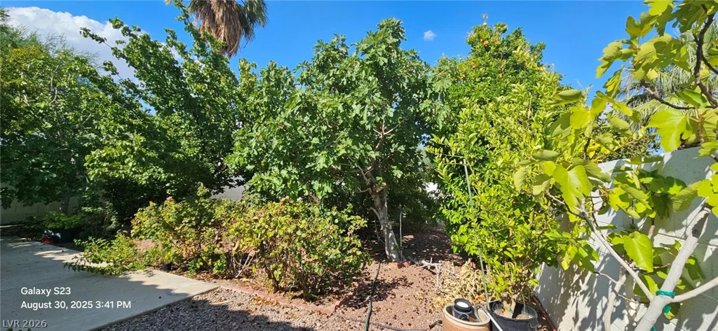 3320 Michelangelo, Las Vegas, NV 89129