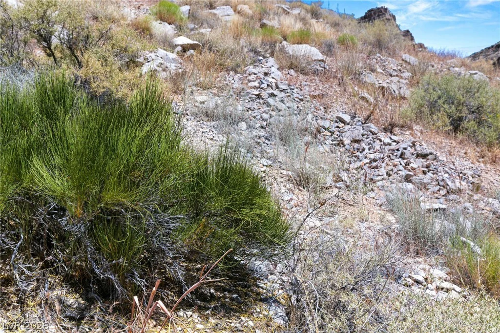 SW 22-57-15, Mountain Springs, NV 89124