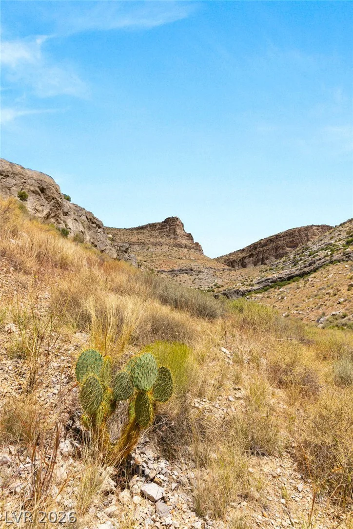 SW 22-57-15, Mountain Springs, NV 89124