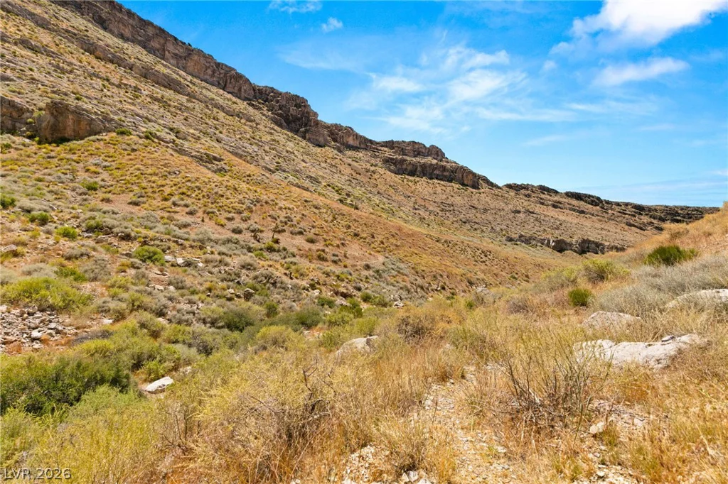 SW 22-57-15, Mountain Springs, NV 89124