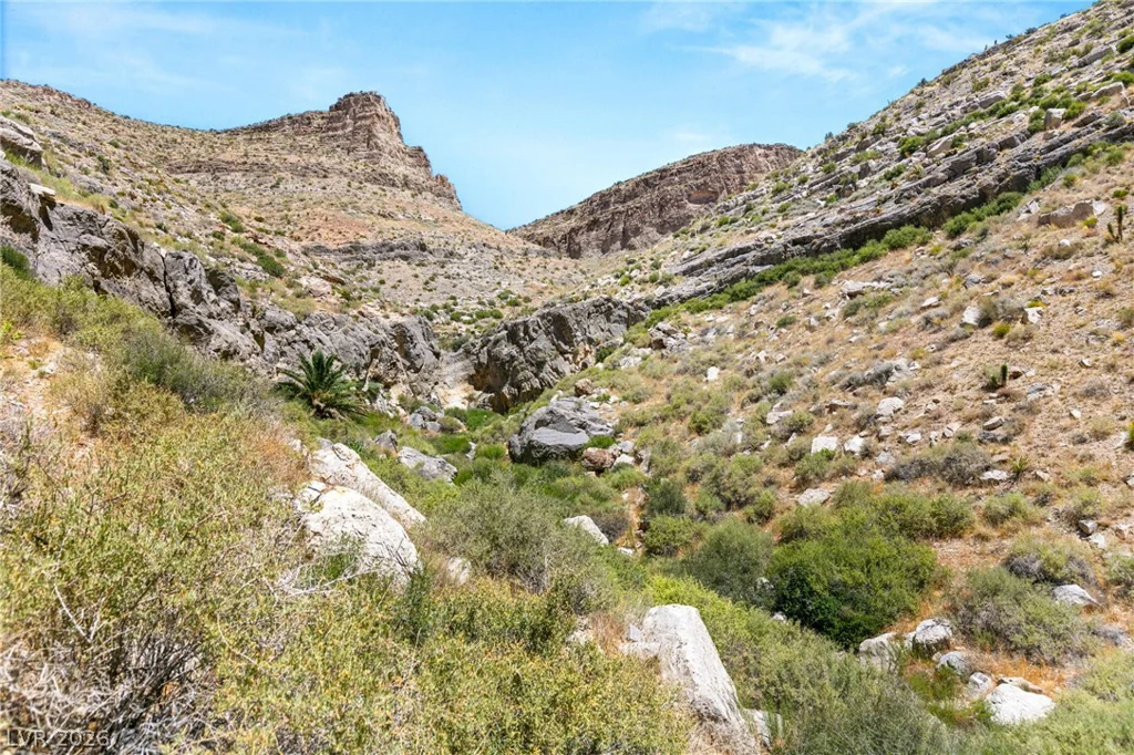 SW 22-57-15, Mountain Springs, NV 89124