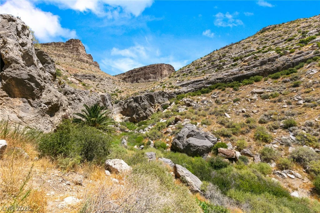 SW 22-57-15, Mountain Springs, NV 89124