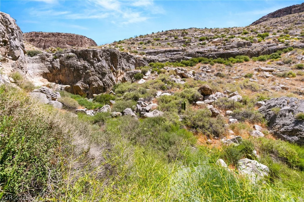 SW 22-57-15, Mountain Springs, NV 89124