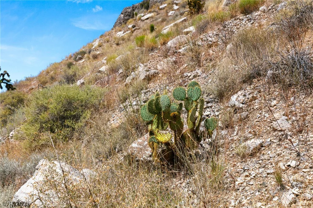 SW 22-57-15, Mountain Springs, NV 89124