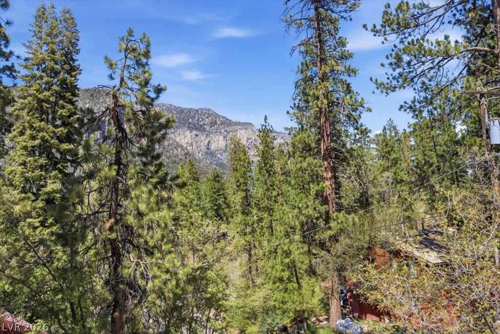 321 Rainbow Canyon, Mount Charleston, NV 89124