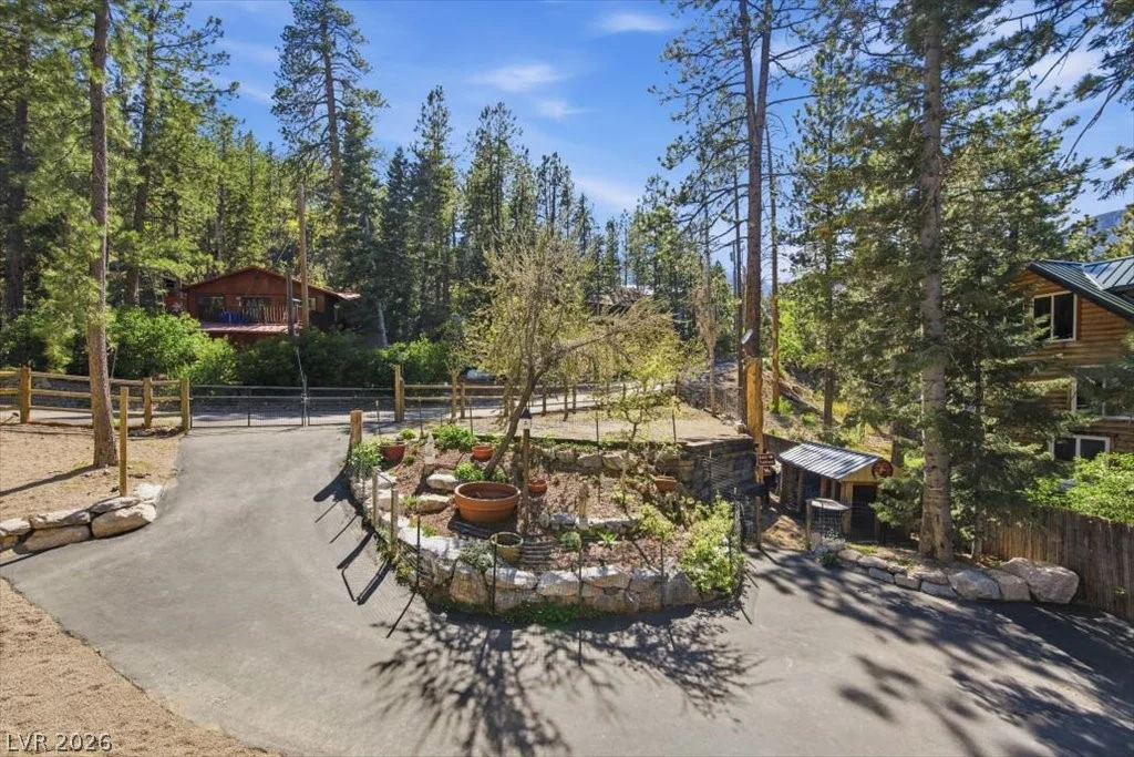 321 Rainbow Canyon, Mount Charleston, NV 89124