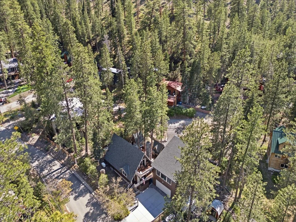 321 Rainbow Canyon, Mount Charleston, NV 89124