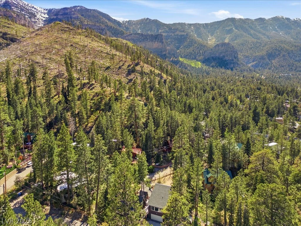 321 Rainbow Canyon, Mount Charleston, NV 89124