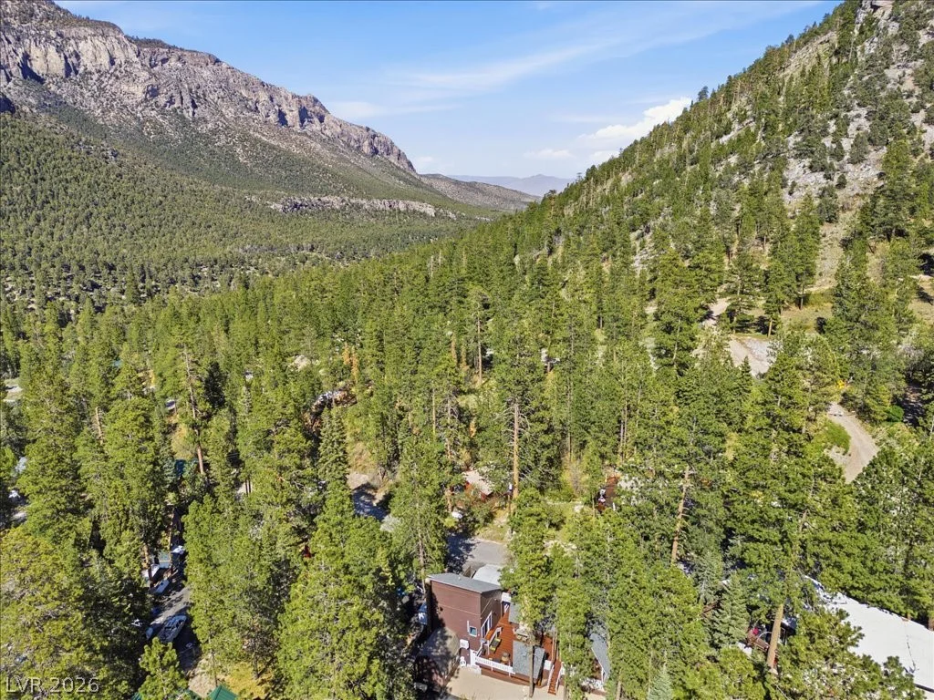 321 Rainbow Canyon, Mount Charleston, NV 89124