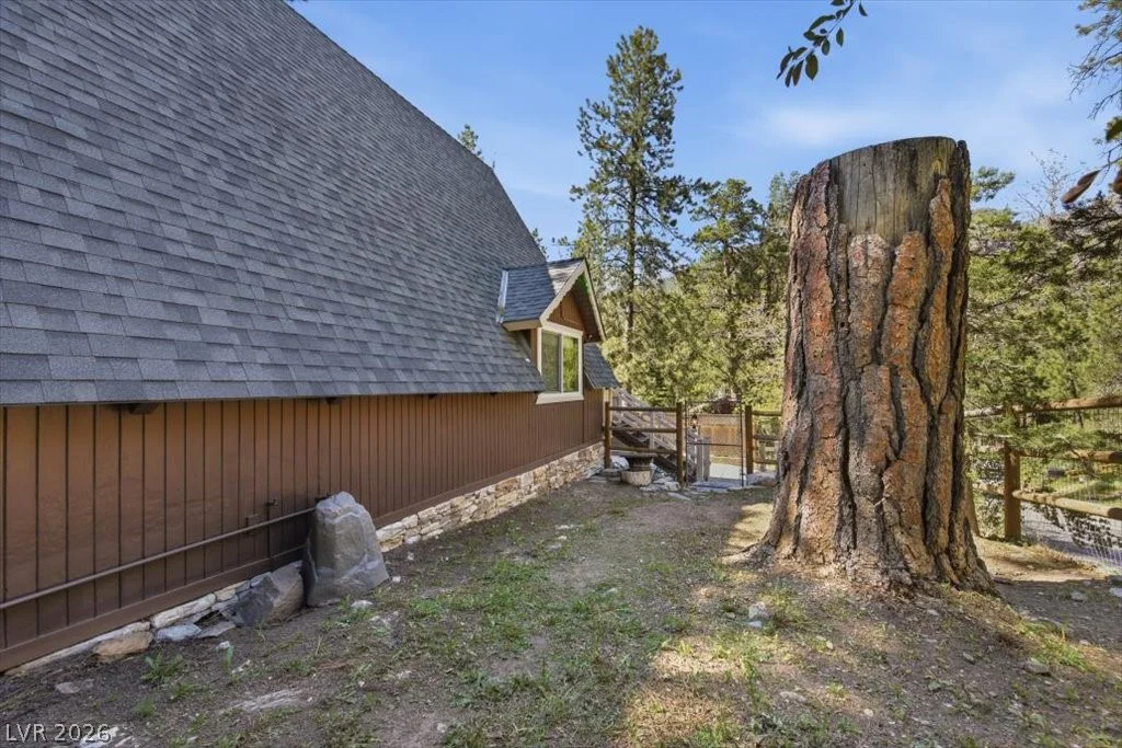 321 Rainbow Canyon, Mount Charleston, NV 89124
