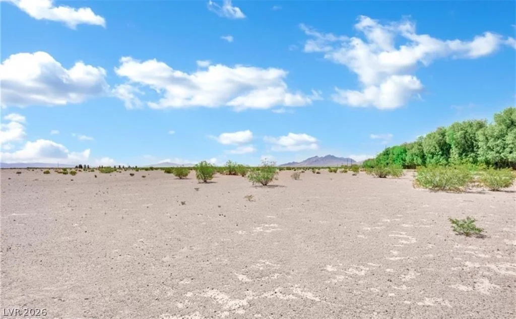 3699 Miner, Amargosa Valley, NV 89020