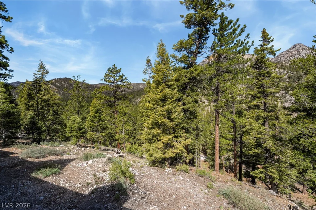 2193 Via Spes Nostra, Las Vegas, NV 89124