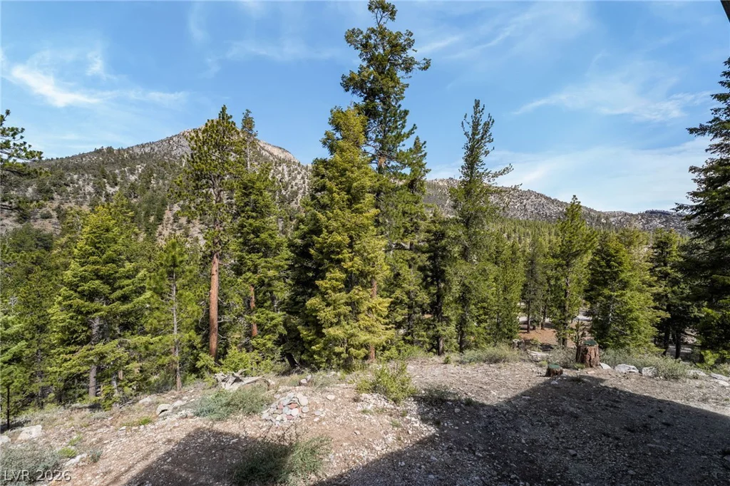 2193 Via Spes Nostra, Las Vegas, NV 89124