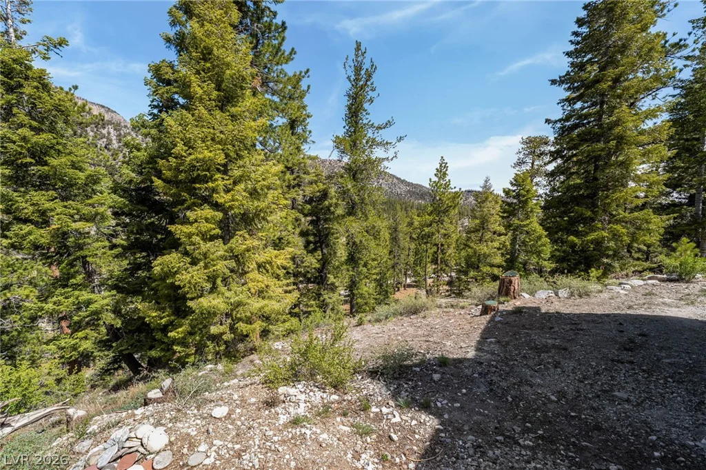 2193 Via Spes Nostra, Las Vegas, NV 89124