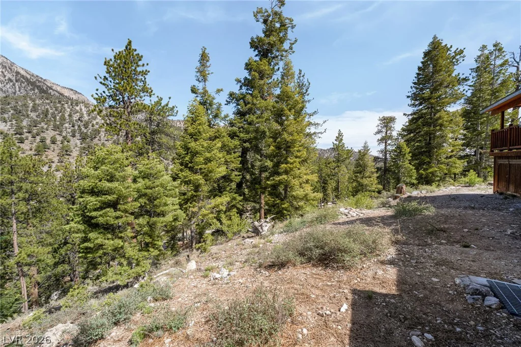 2193 Via Spes Nostra, Las Vegas, NV 89124