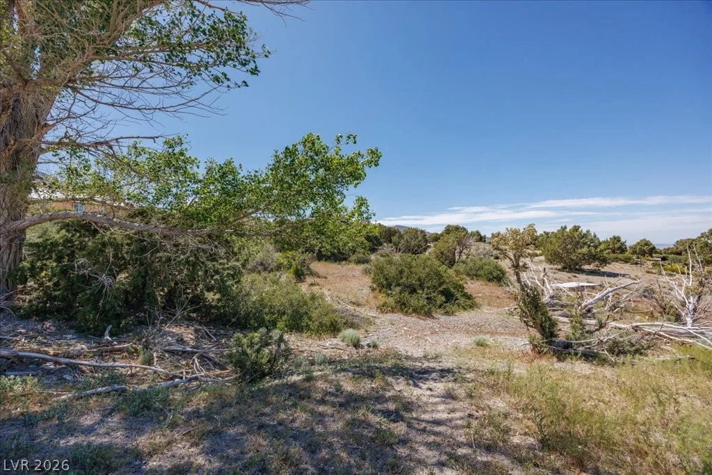 Sir Turner Drive APN#095-01-711-034, Cold Creek, NV 89124