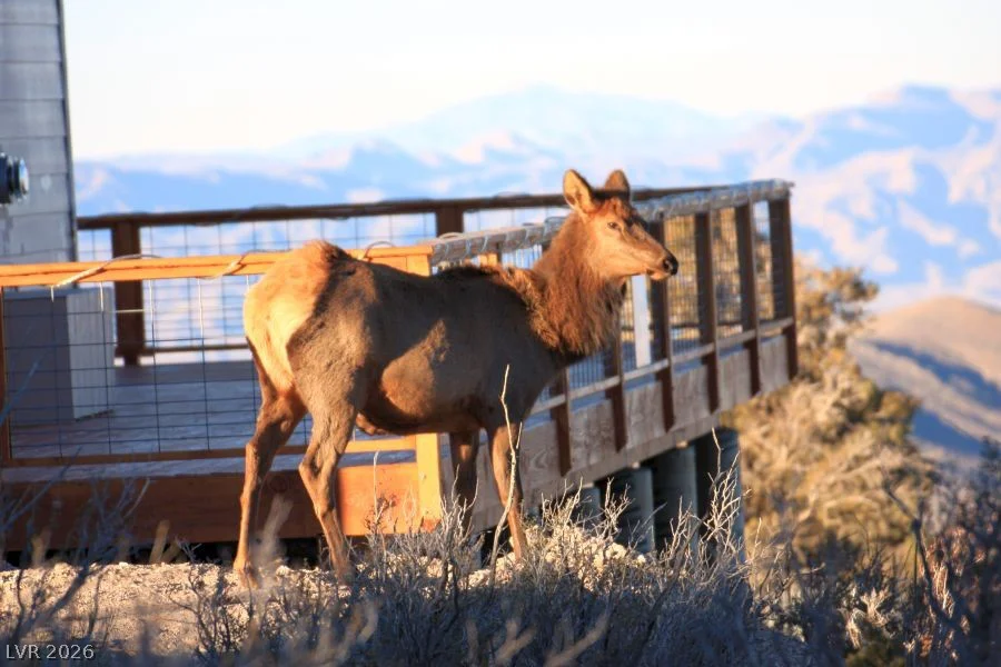 Sir Turner Drive APN#095-01-711-034, Cold Creek, NV 89124