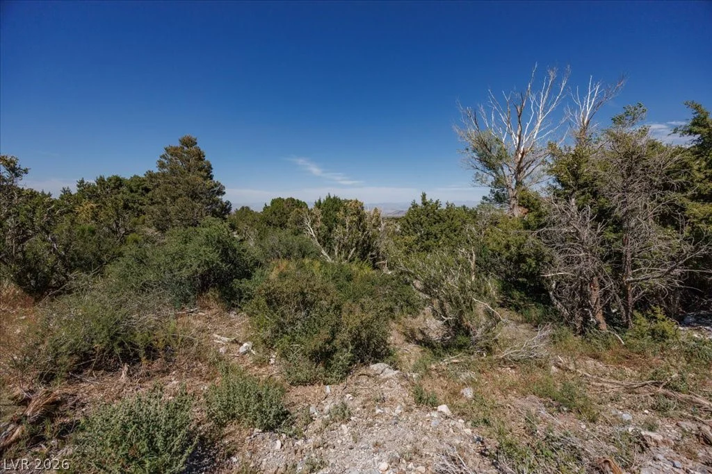 Sir Turner Drive APN#095-01-711-034, Cold Creek, NV 89124
